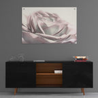 Epic Art 'Blush Rose II' by Lori Deiter, Acrylic Glass Wall Art,36x24