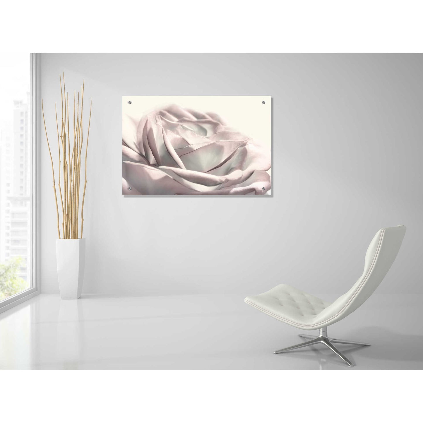 Epic Art 'Blush Rose II' by Lori Deiter, Acrylic Glass Wall Art,36x24
