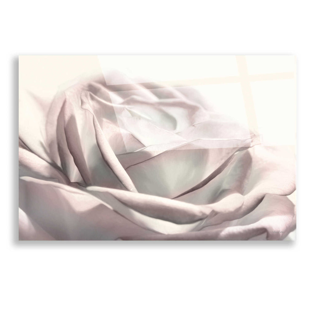 Epic Art 'Blush Rose II' by Lori Deiter, Acrylic Glass Wall Art