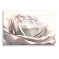 Epic Art 'Blush Rose II' by Lori Deiter, Acrylic Glass Wall Art