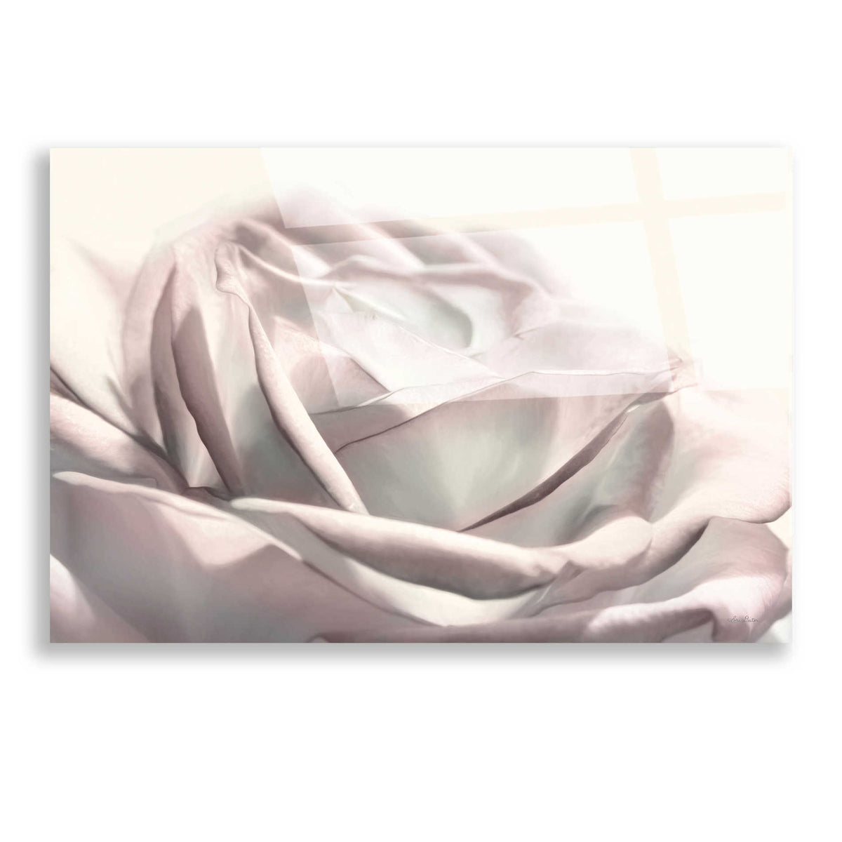 Epic Art 'Blush Rose II' by Lori Deiter, Acrylic Glass Wall Art