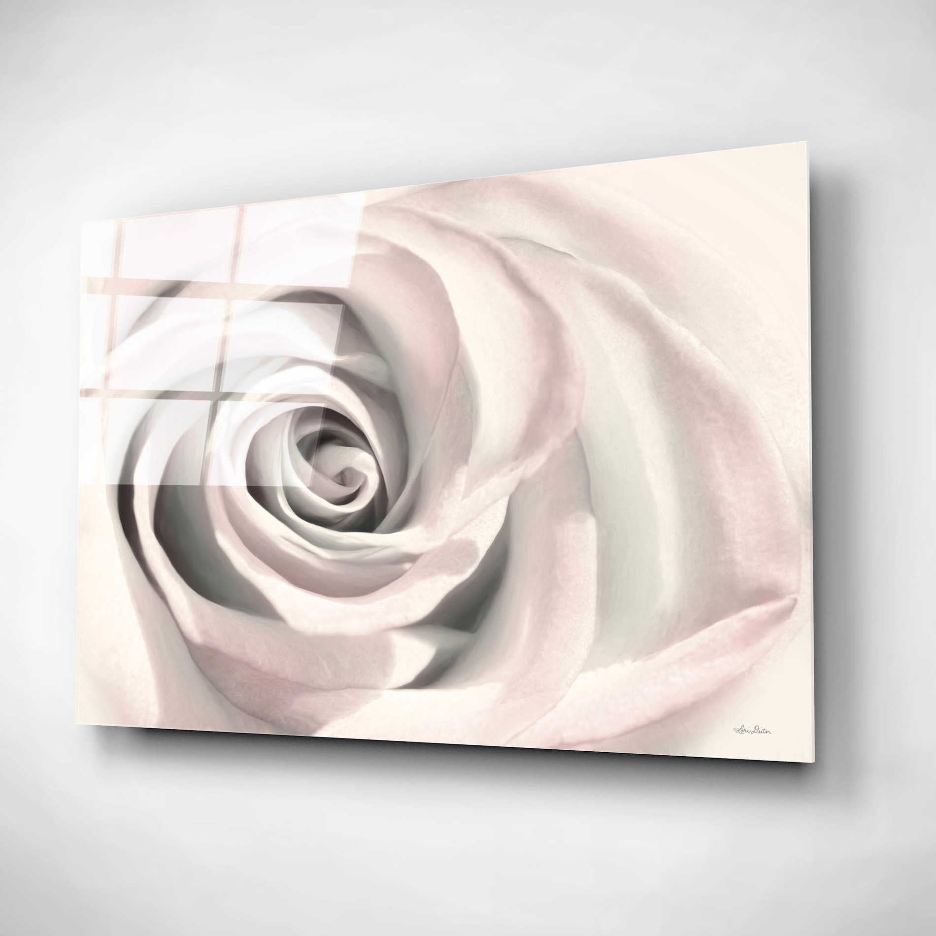 Epic Art 'Blush Rose III' by Lori Deiter, Acrylic Glass Wall Art,16x12