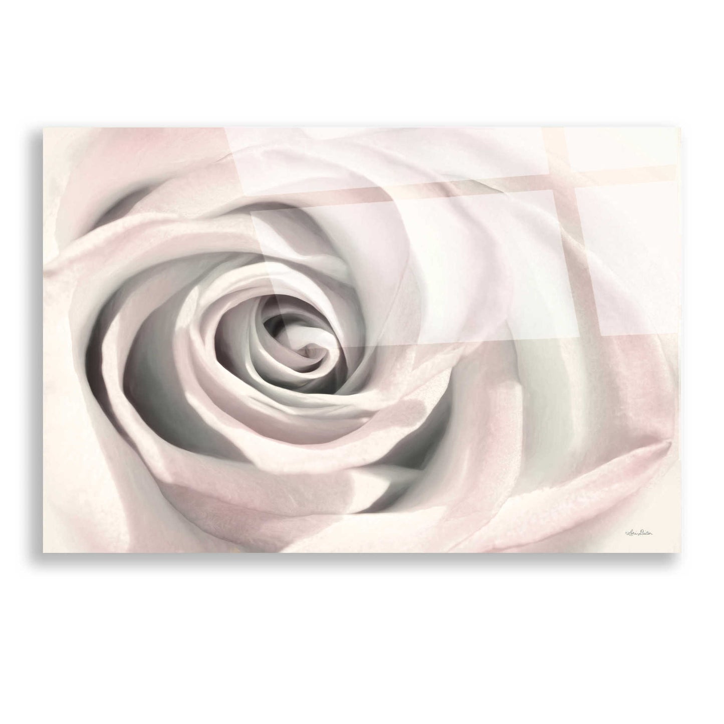 Epic Art 'Blush Rose III' by Lori Deiter, Acrylic Glass Wall Art,16x12