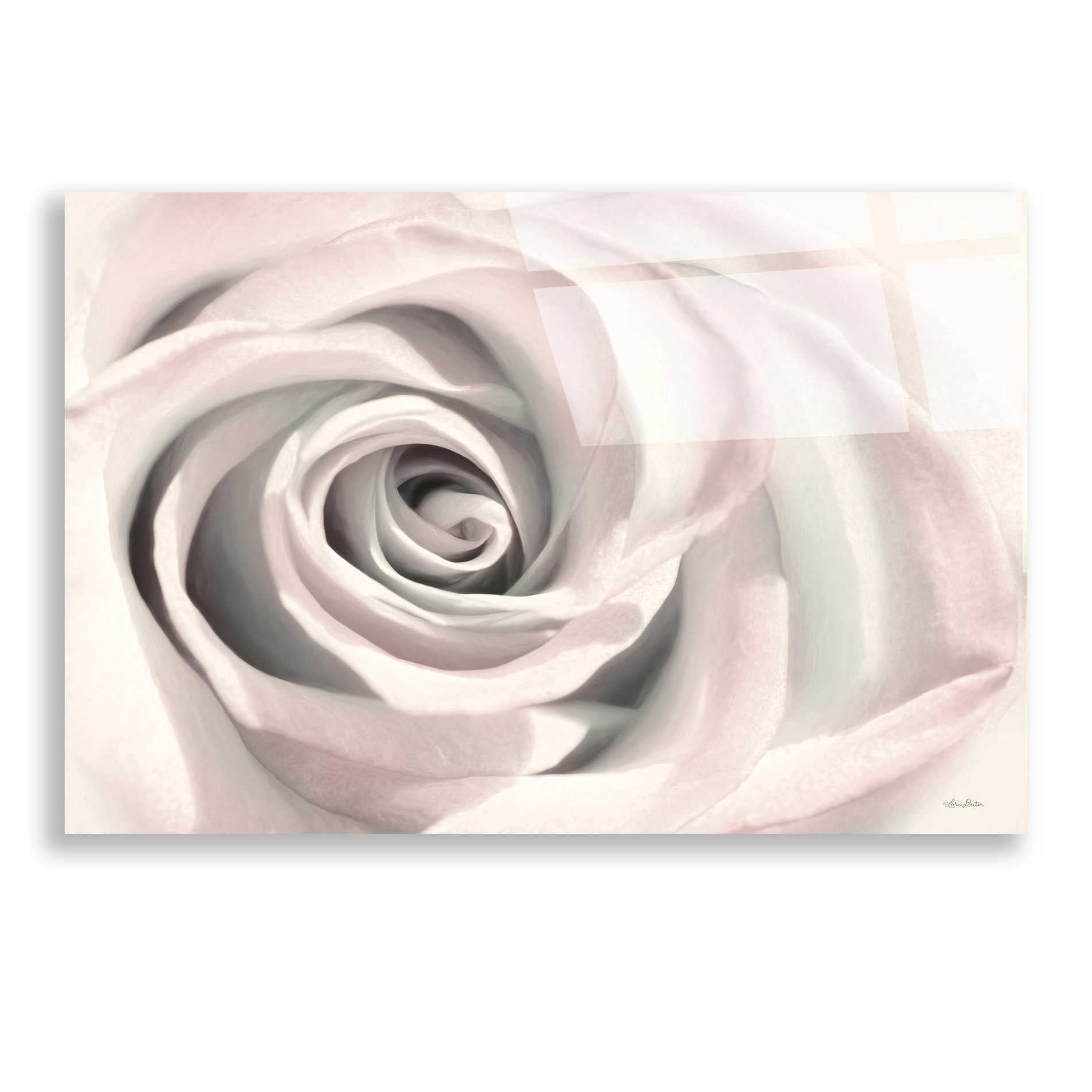 Epic Art 'Blush Rose III' by Lori Deiter, Acrylic Glass Wall Art,24x16