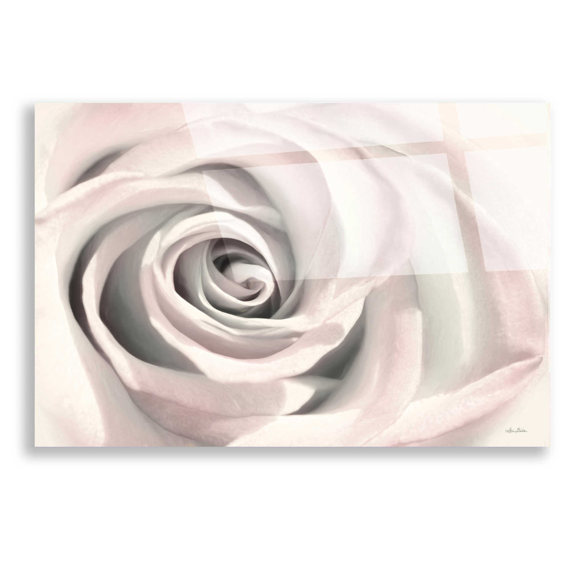 Epic Art 'Blush Rose III' by Lori Deiter, Acrylic Glass Wall Art