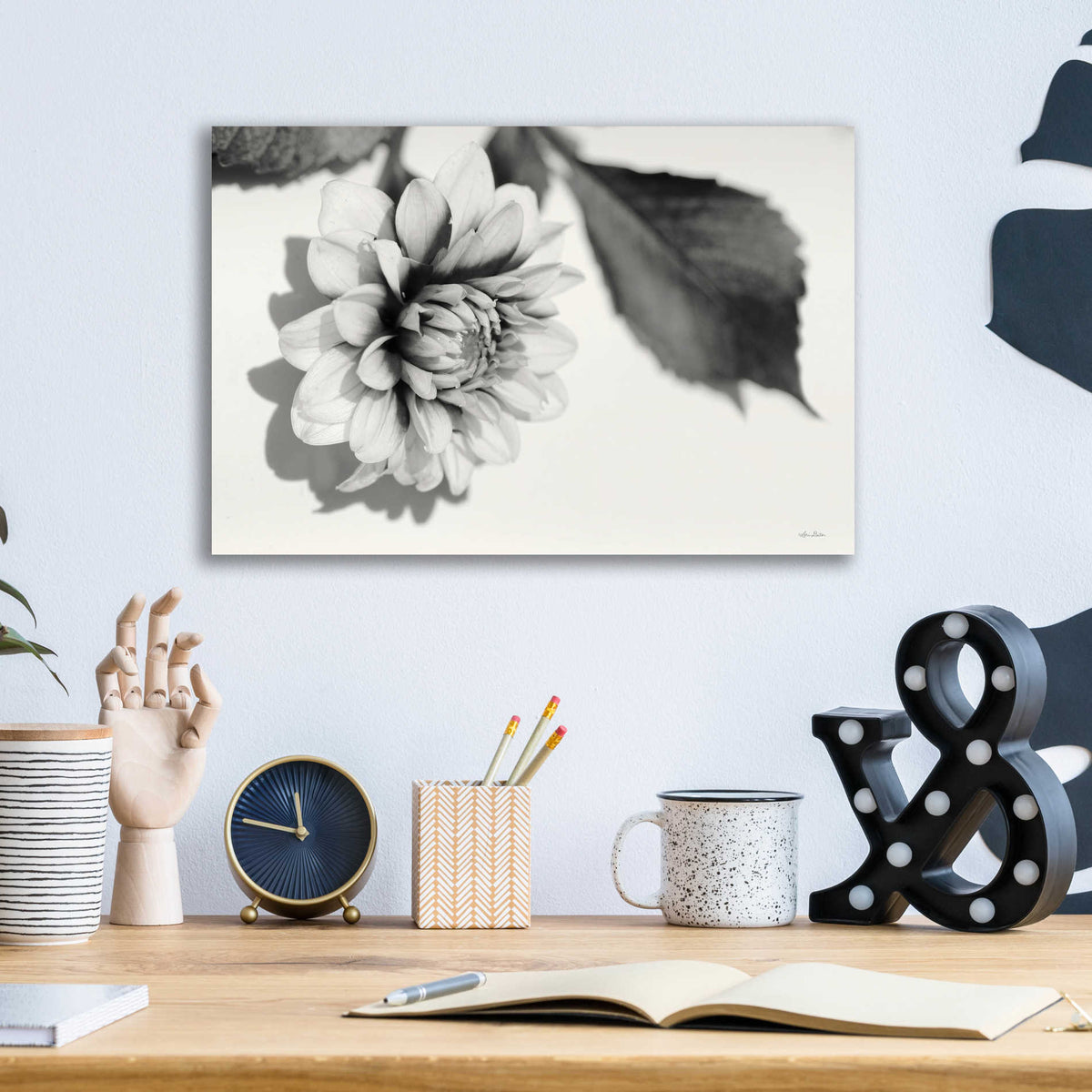 Epic Art 'White Dahlia I' by Lori Deiter, Acrylic Glass Wall Art,16x12