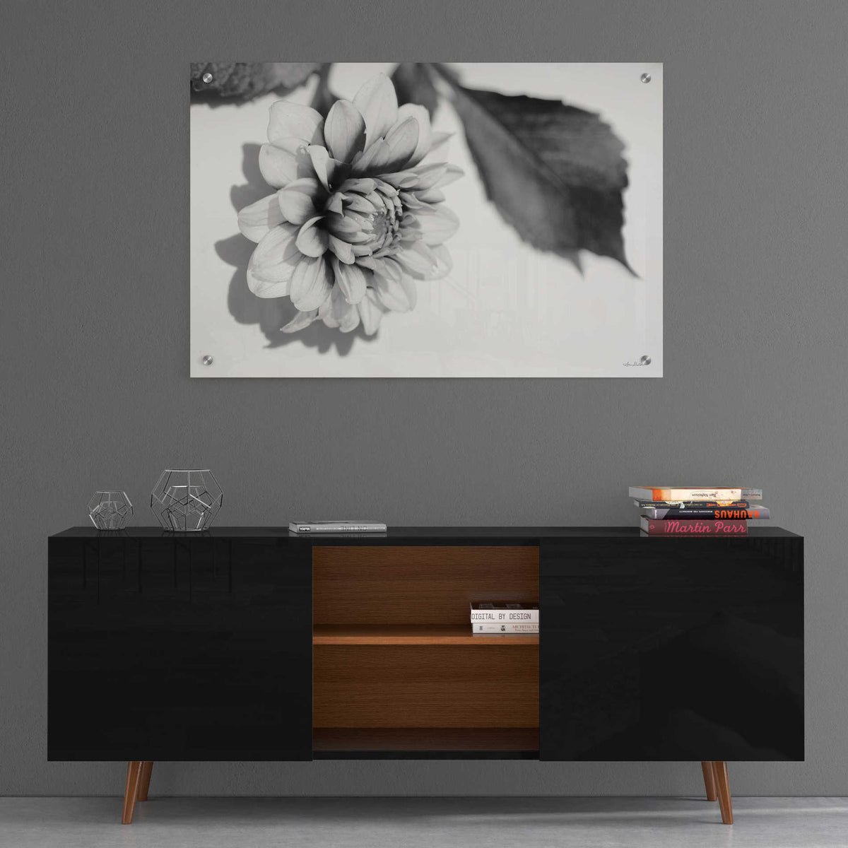 Epic Art 'White Dahlia I' by Lori Deiter, Acrylic Glass Wall Art,36x24