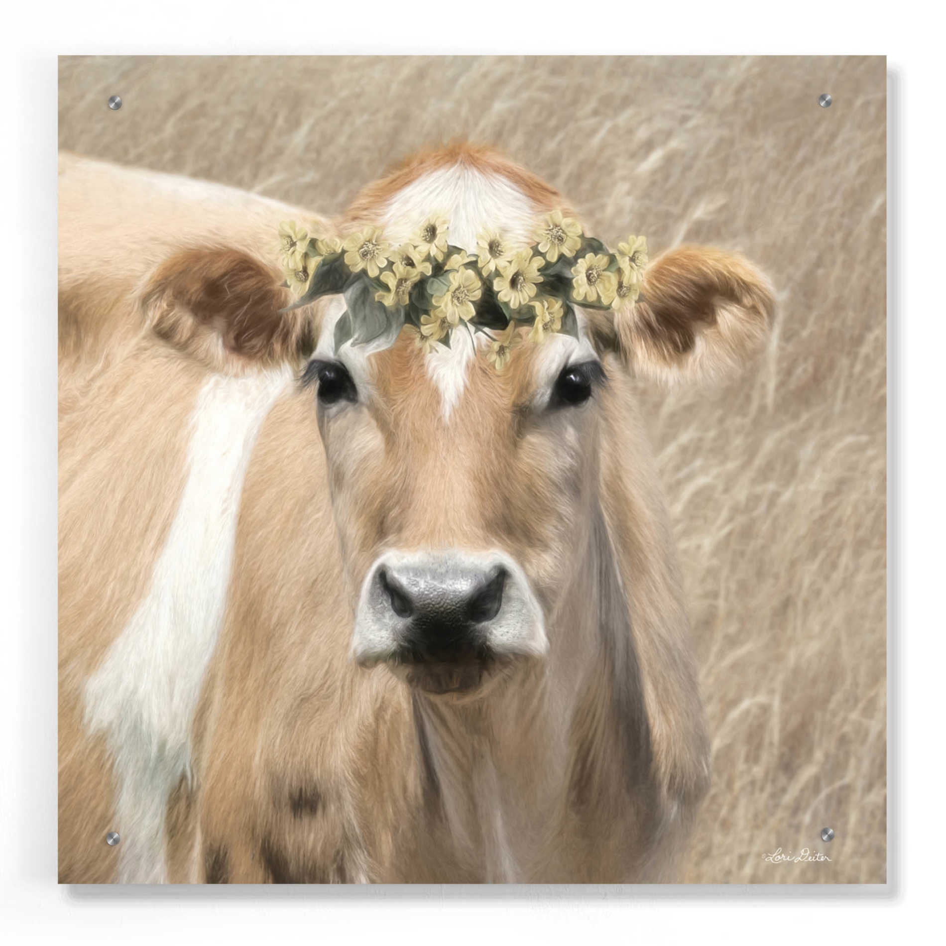 Epic Art 'Floral Cow I' by Lori Deiter, Acrylic Glass Wall Art,24x24