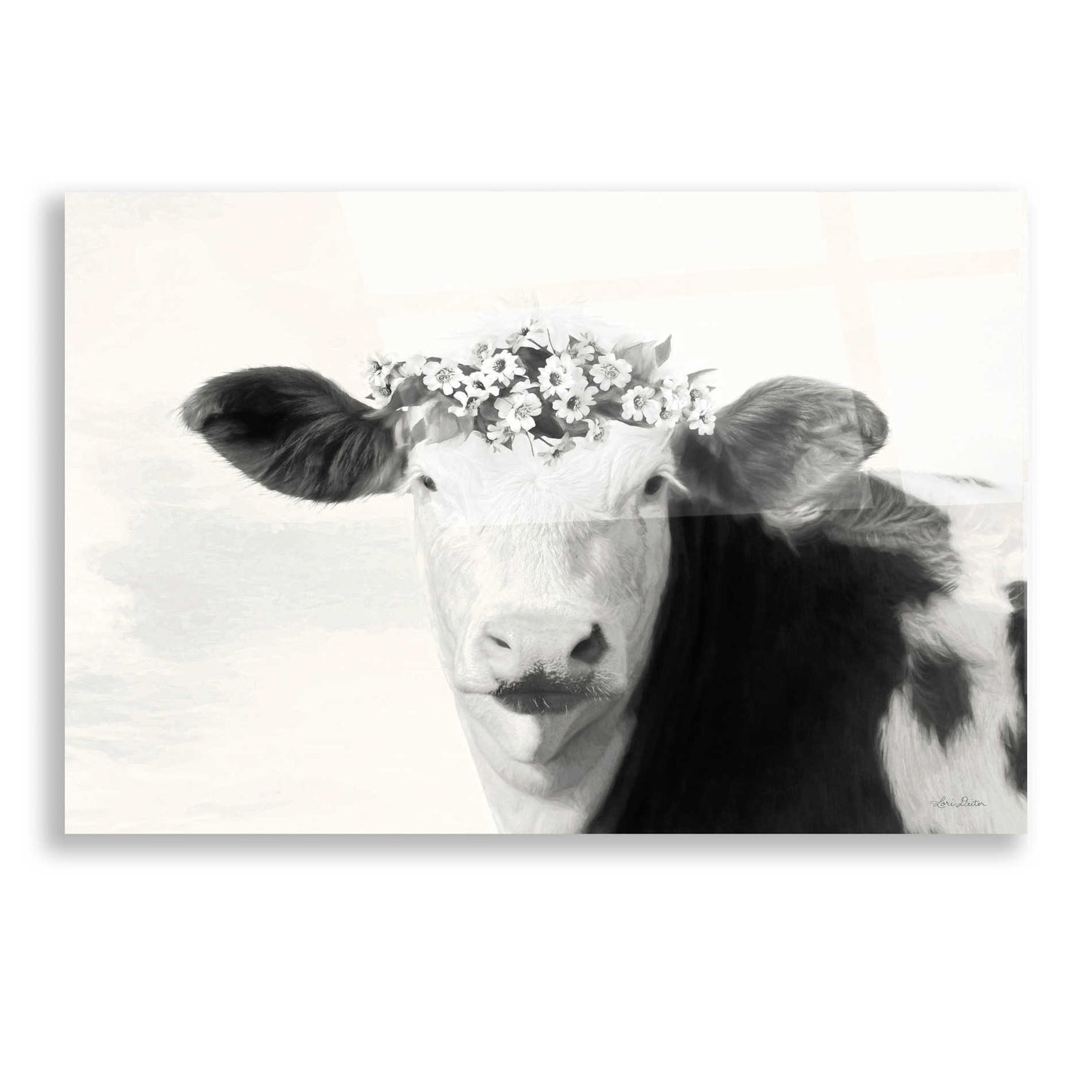 Epic Art 'Spotted Cow with Flowers' by Lori Deiter, Acrylic Glass Wall Art,16x12