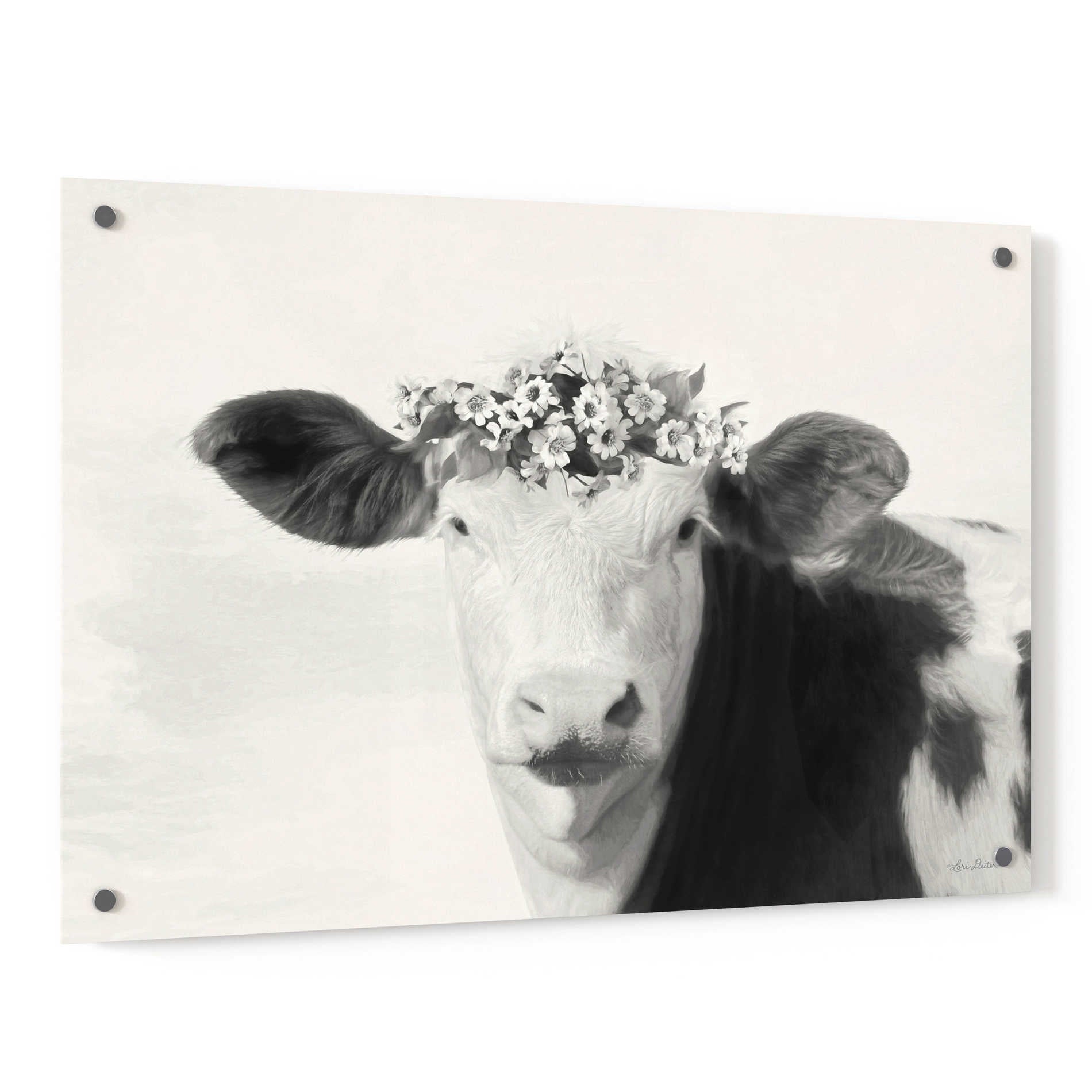 Epic Art 'Spotted Cow with Flowers' by Lori Deiter, Acrylic Glass Wall Art,36x24