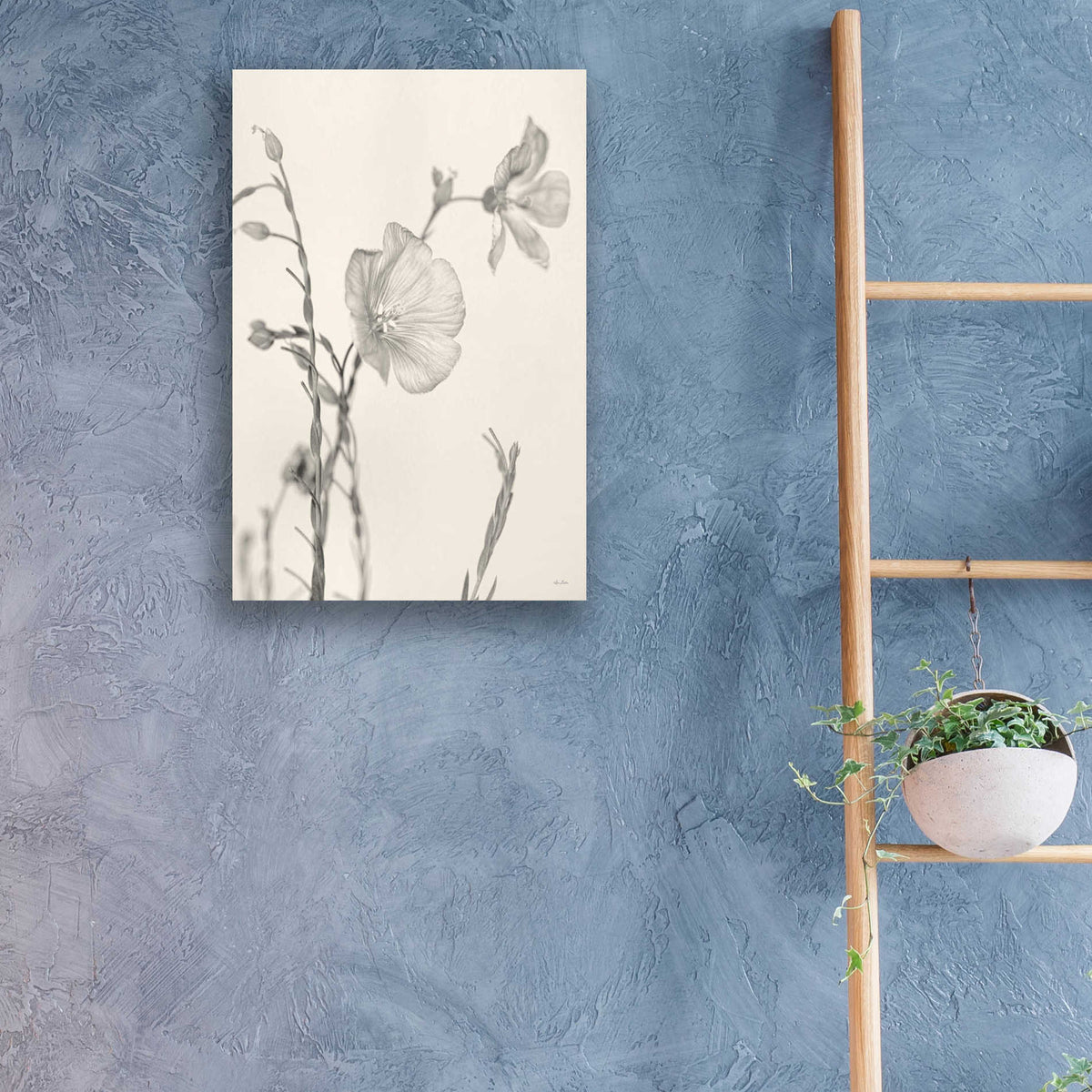 Epic Art 'Faded Flower II' by Lori Deiter, Acrylic Glass Wall Art,16x24