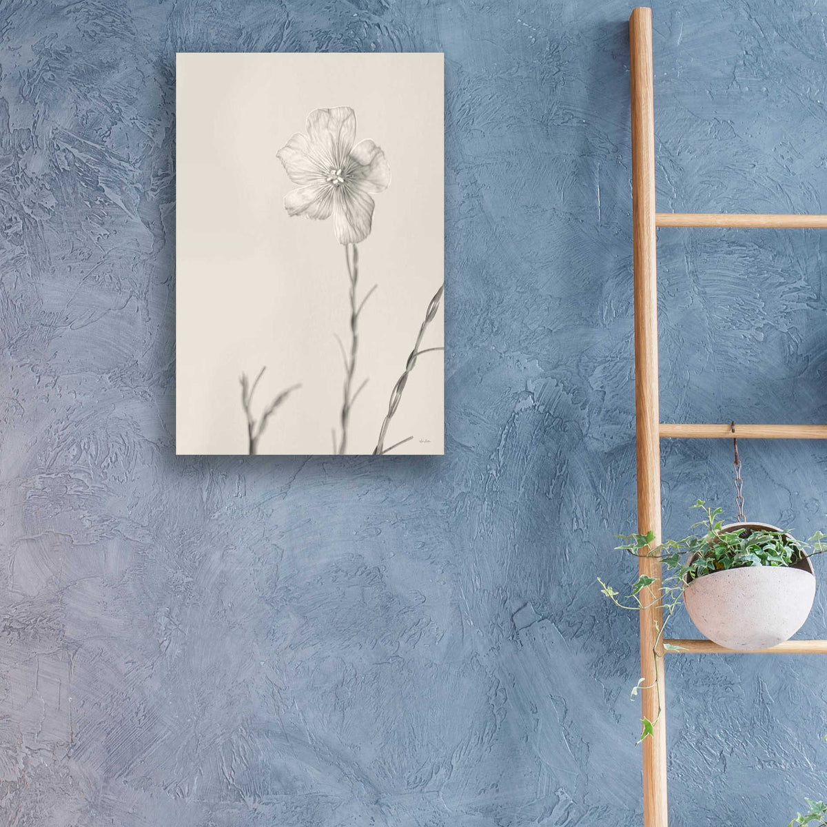 Epic Art 'Faded Flower III' by Lori Deiter, Acrylic Glass Wall Art,16x24