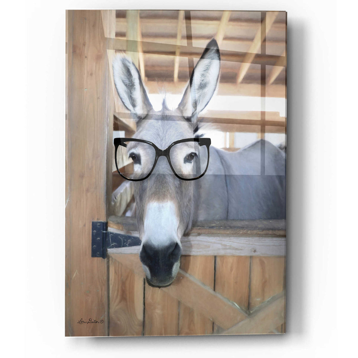 Epic Art 'Smart Ass' by Lori Deiter, Acrylic Glass Wall Art