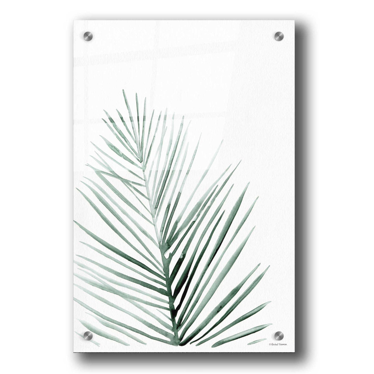 Epic Art 'Summer Botanicals 1' by Rachel Nieman, Acrylic Glass Wall Art,24x36