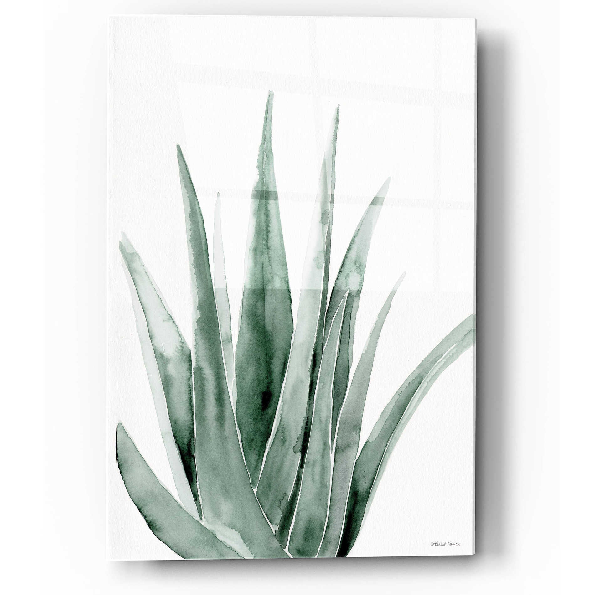 Epic Art 'Summer Botanicals 2' by Rachel Nieman, Acrylic Glass Wall Art