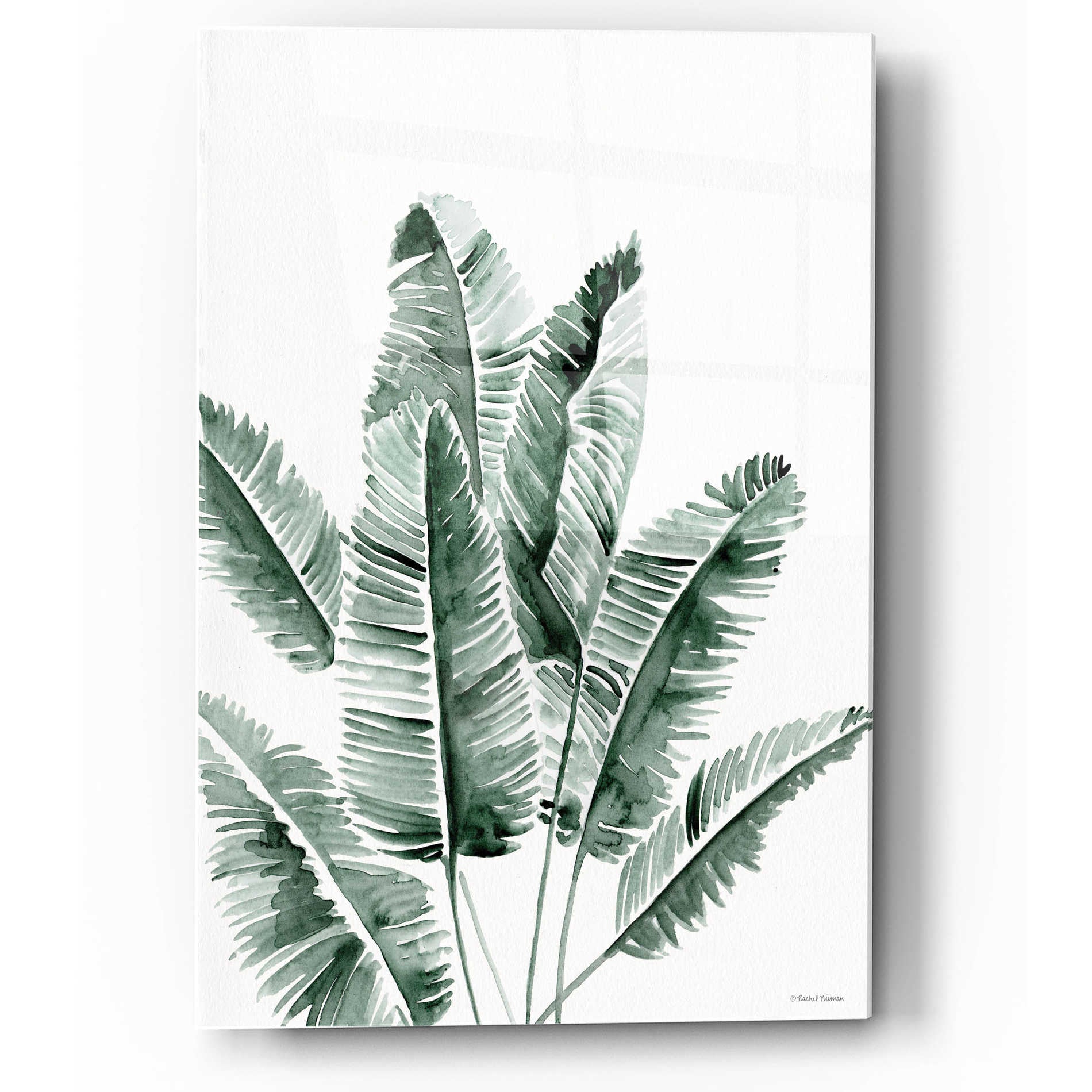 Epic Art 'Summer Botanicals 3' by Rachel Nieman, Acrylic Glass Wall Art