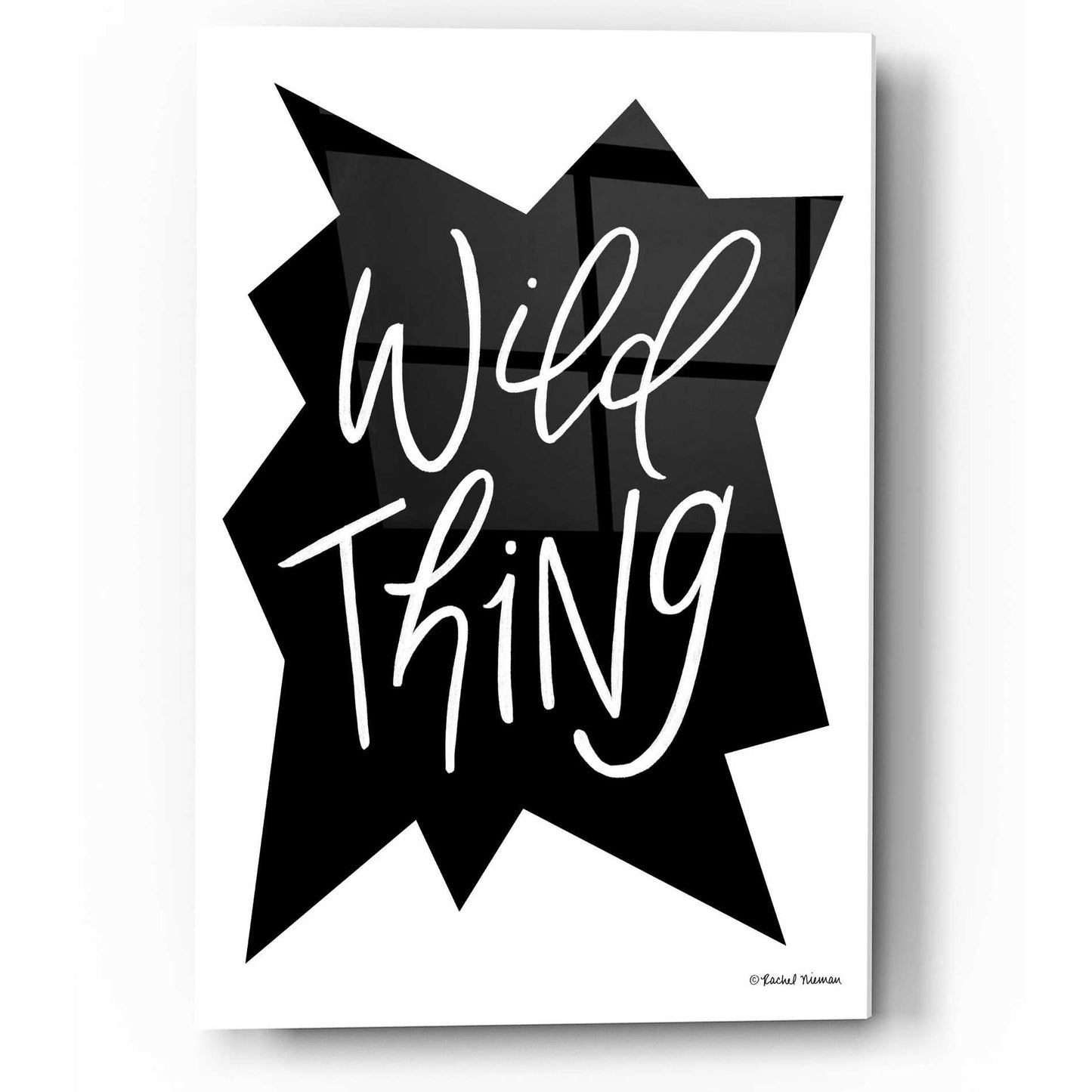 Epic Art 'Wild Thing' by Rachel Nieman, Acrylic Glass Wall Art