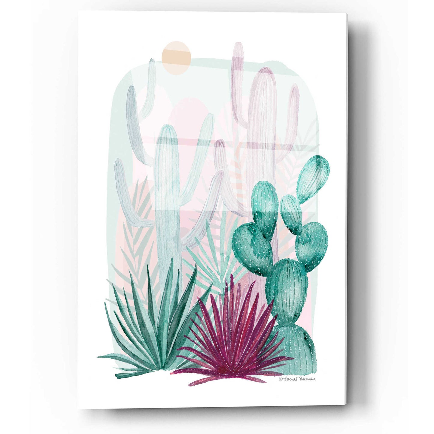 Epic Art 'Cactus Summer' by Rachel Nieman, Acrylic Glass Wall Art,12x16