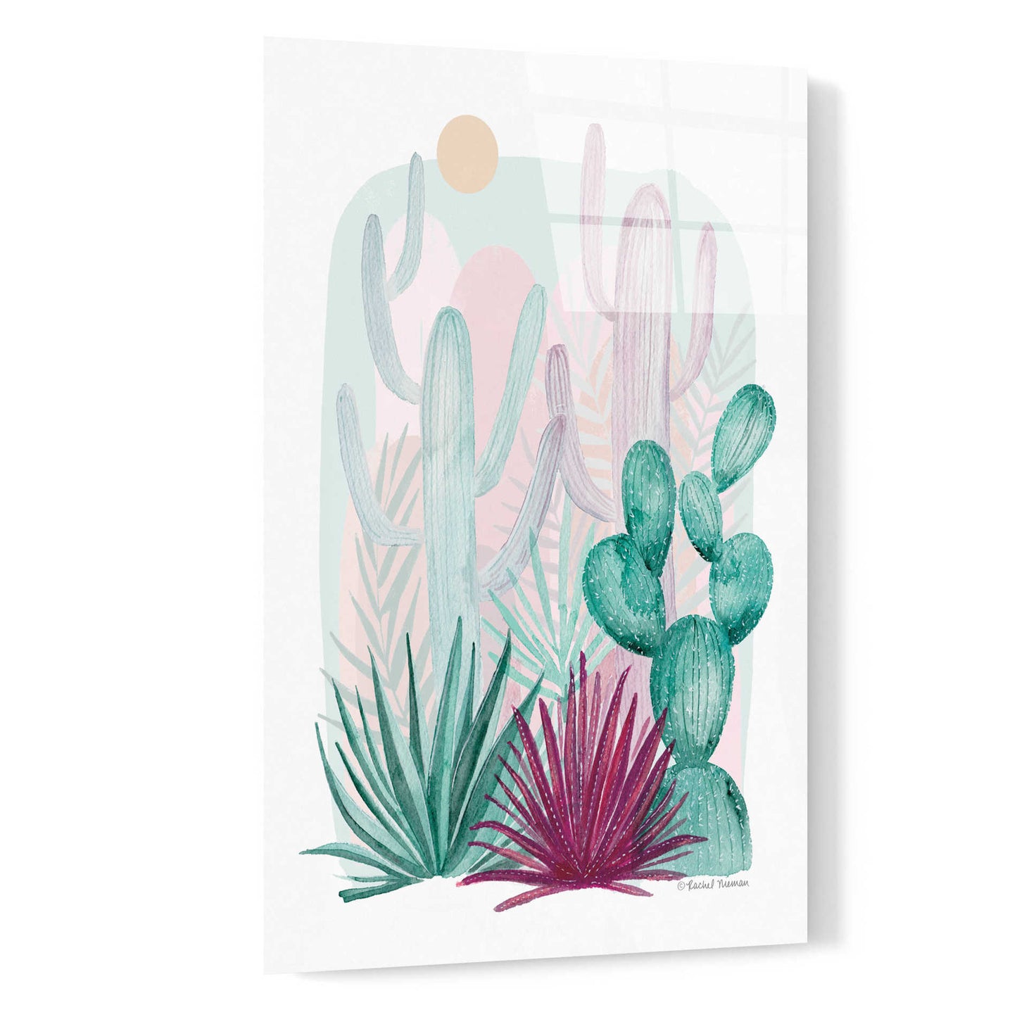 Epic Art 'Cactus Summer' by Rachel Nieman, Acrylic Glass Wall Art,16x24