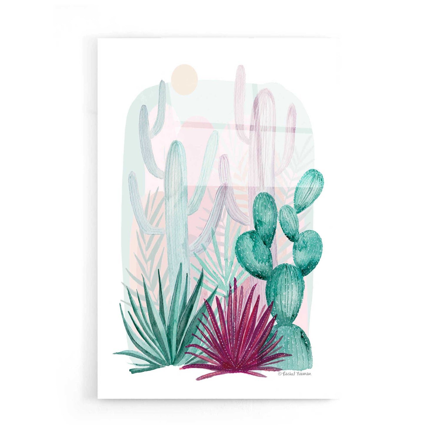 Epic Art 'Cactus Summer' by Rachel Nieman, Acrylic Glass Wall Art,16x24