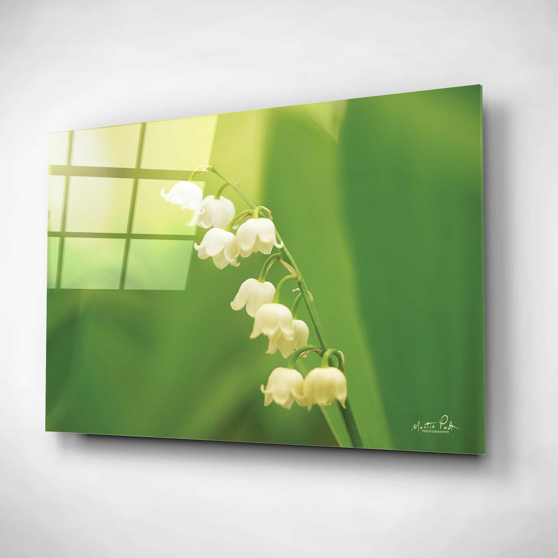 Epic Art 'Lily of the Valley' by Martin Podt, Acrylic Glass Wall Art,16x12