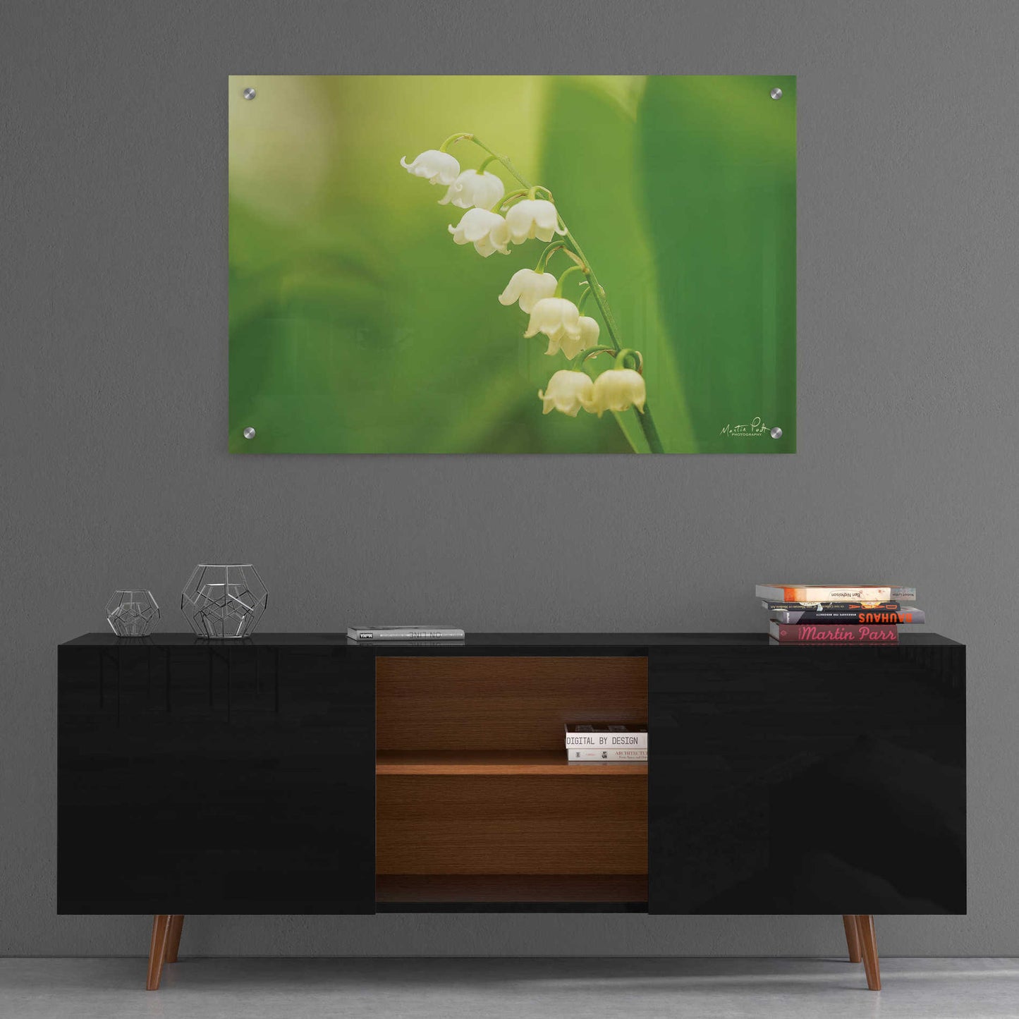 Epic Art 'Lily of the Valley' by Martin Podt, Acrylic Glass Wall Art,36x24