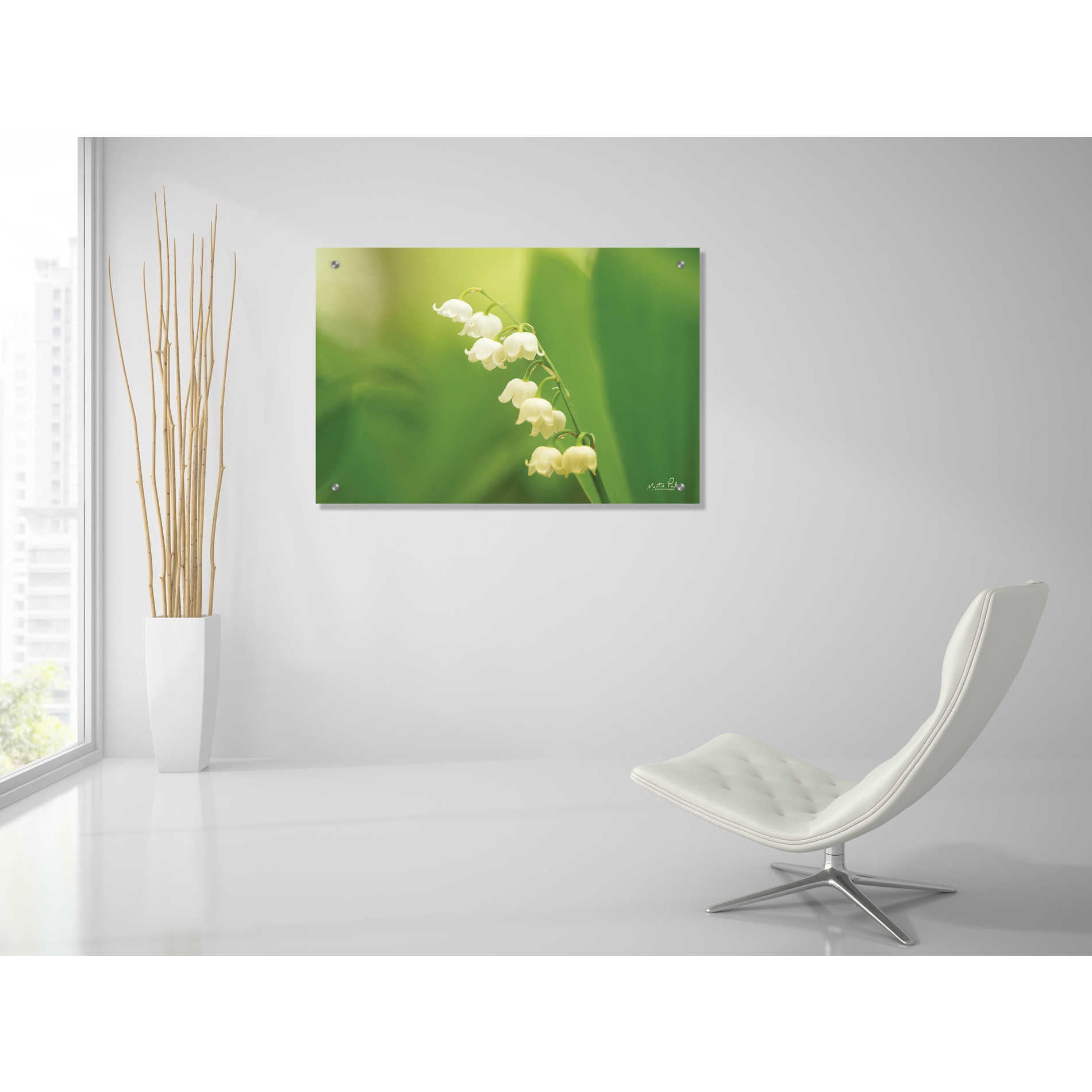 Epic Art 'Lily of the Valley' by Martin Podt, Acrylic Glass Wall Art,36x24