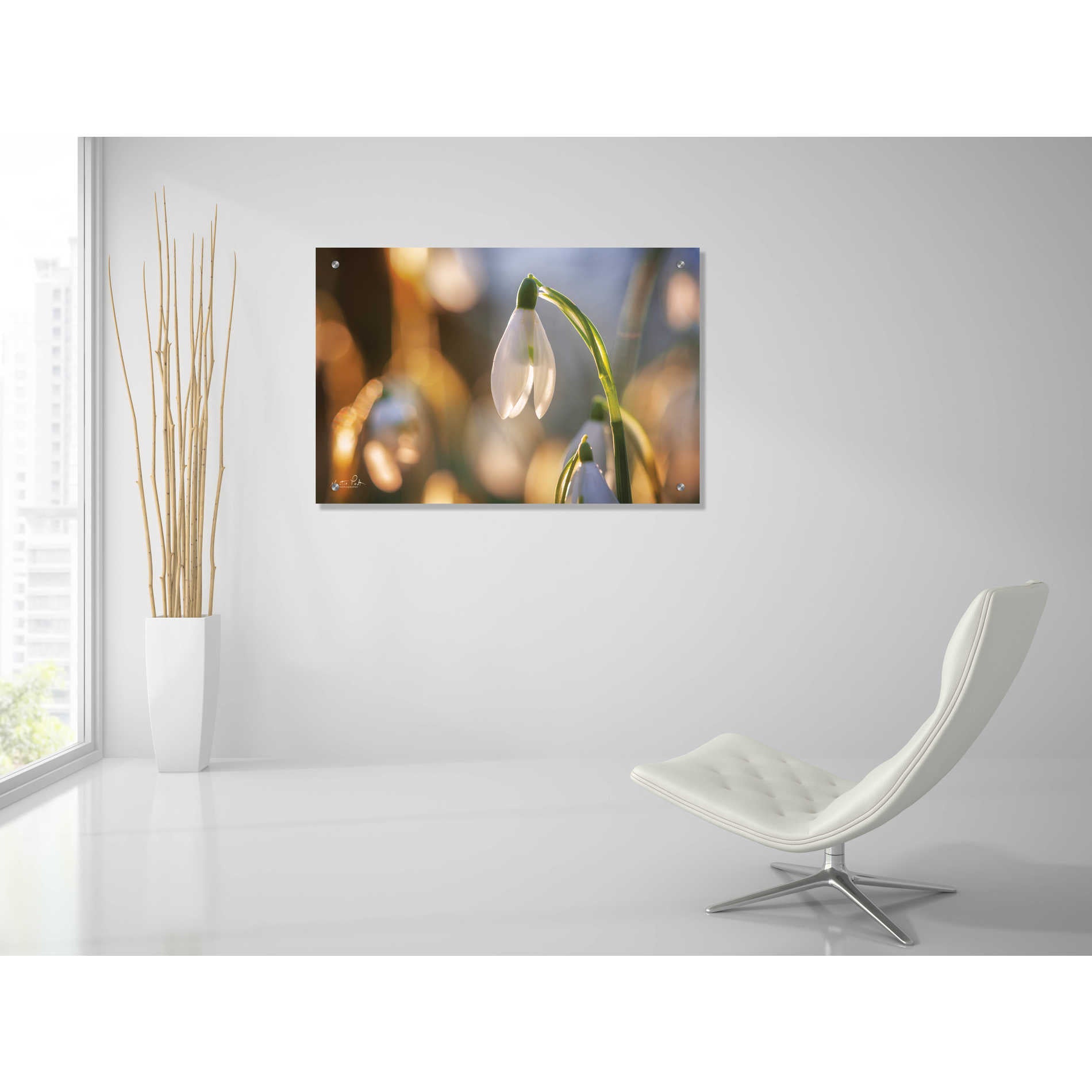 Epic Art 'Shining Beauty' by Martin Podt, Acrylic Glass Wall Art,36x24