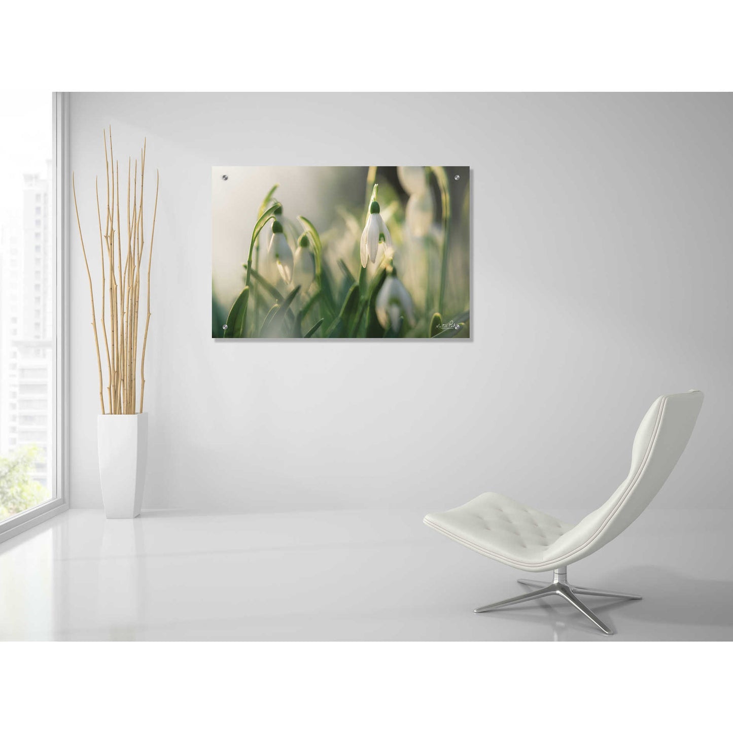 Epic Art 'Snowdrops' by Martin Podt, Acrylic Glass Wall Art,36x24