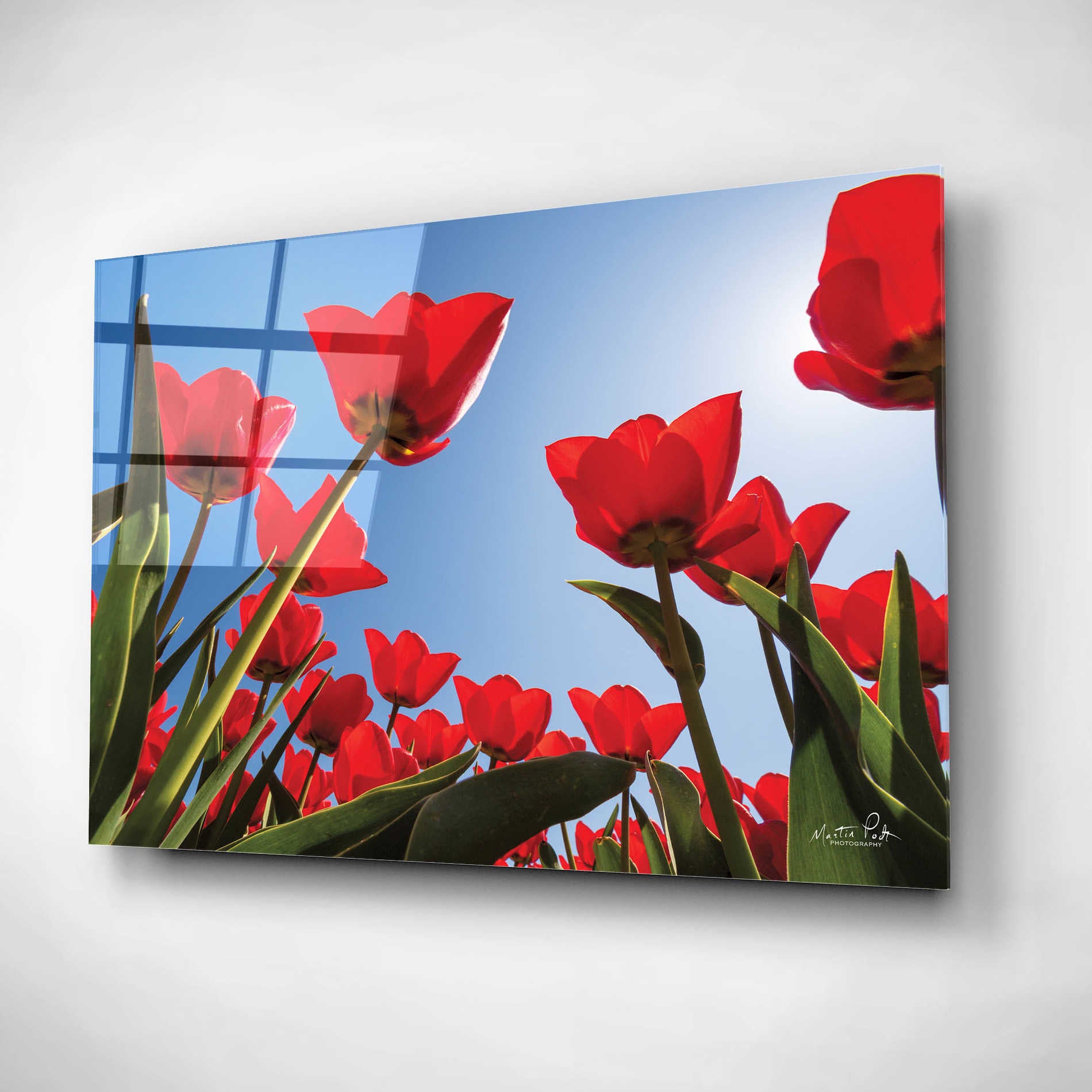 Epic Art 'Look Up in Red' by Martin Podt, Acrylic Glass Wall Art,16x12