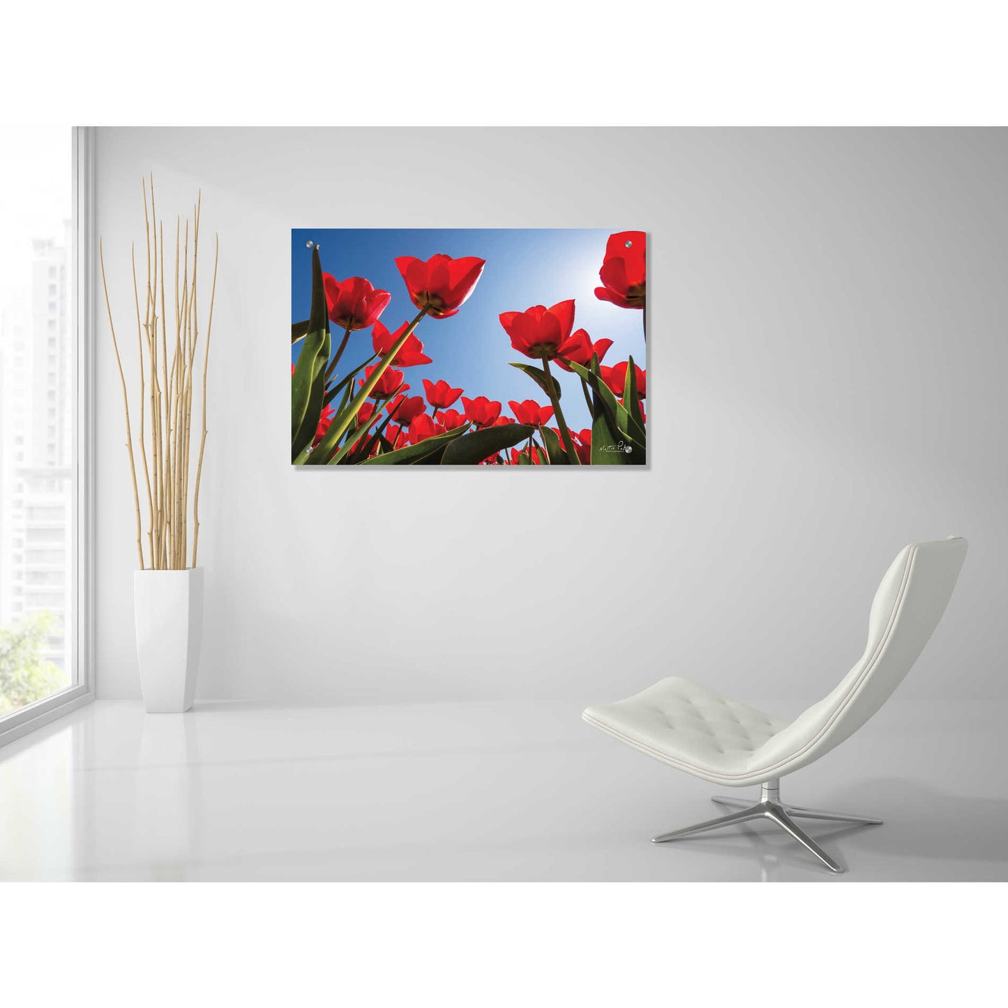 Epic Art 'Look Up in Red' by Martin Podt, Acrylic Glass Wall Art,36x24