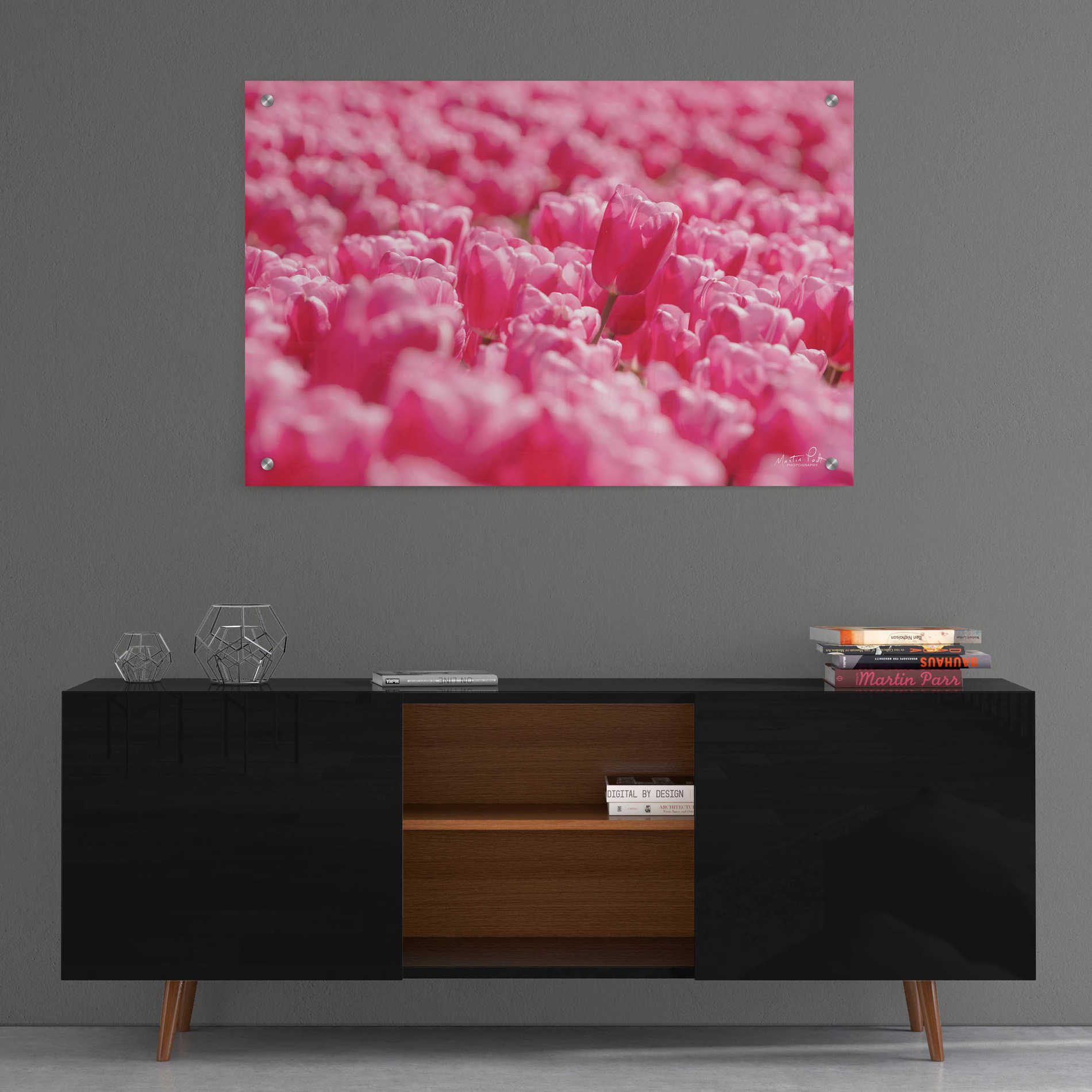 Epic Art 'Pink Field' by Martin Podt, Acrylic Glass Wall Art,36x24