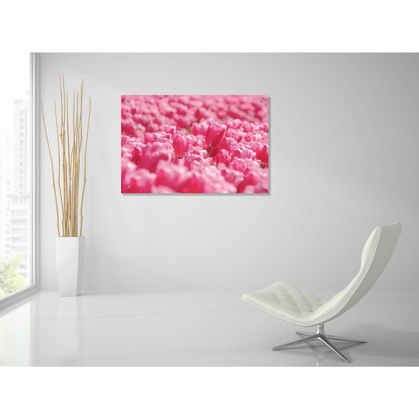 Epic Art 'Pink Field' by Martin Podt, Acrylic Glass Wall Art,36x24