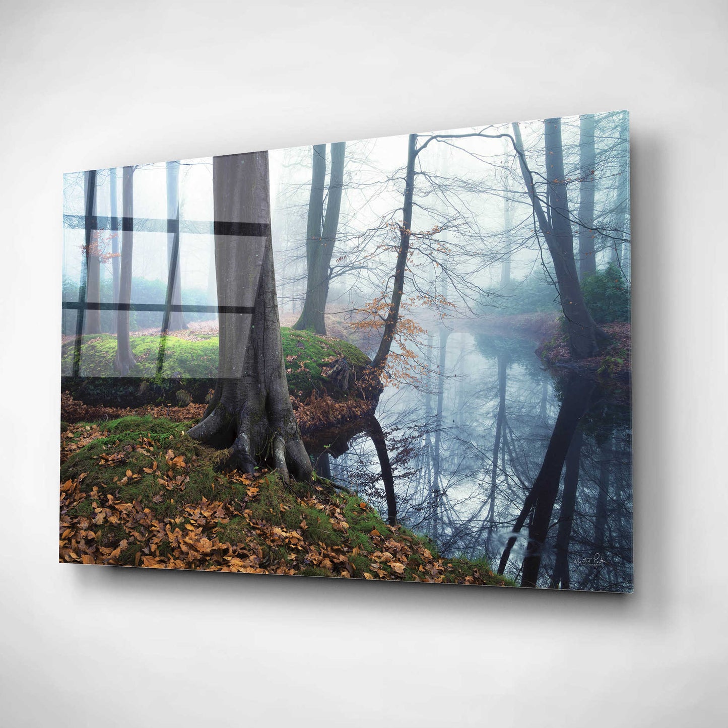 Epic Art 'Creepy Outside World' by Martin Podt, Acrylic Glass Wall Art,16x12