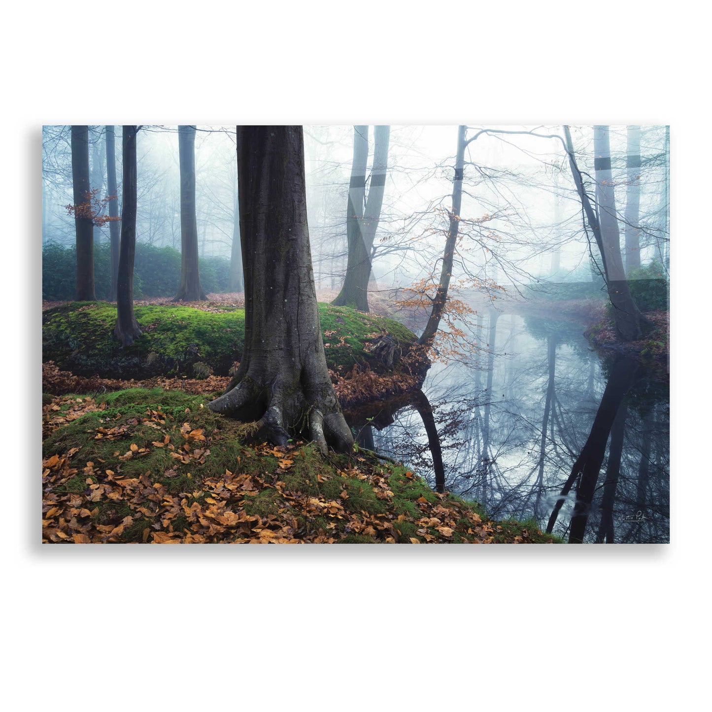 Epic Art 'Creepy Outside World' by Martin Podt, Acrylic Glass Wall Art,24x16