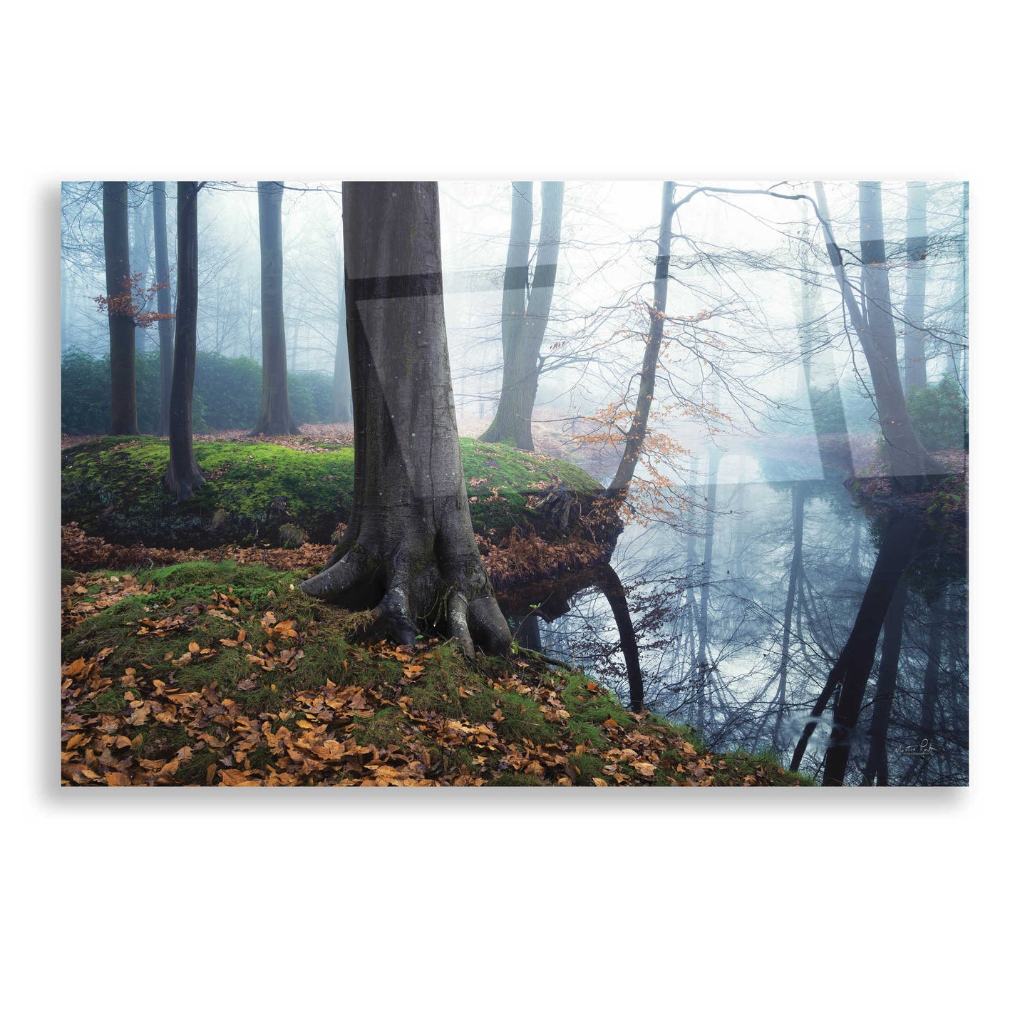 Epic Art 'Creepy Outside World' by Martin Podt, Acrylic Glass Wall Art