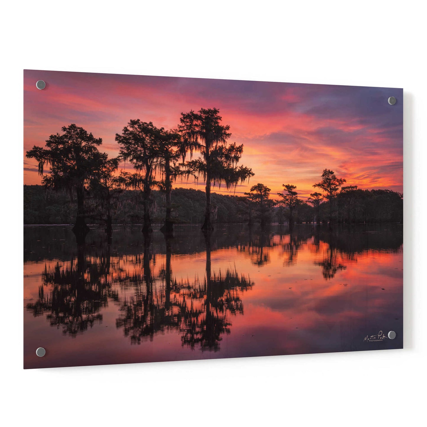 Epic Art 'Swamp on Fire' by Martin Podt, Acrylic Glass Wall Art,36x24