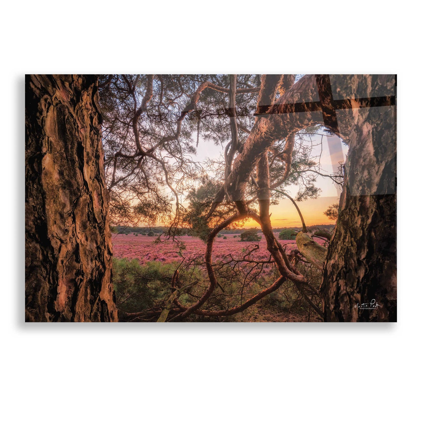 Epic Art 'In Between' by Martin Podt, Acrylic Glass Wall Art