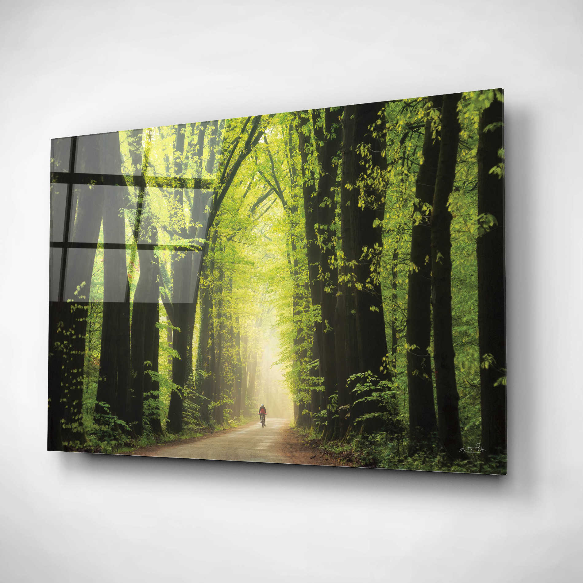Epic Art 'Among Giants in Springtime' by Martin Podt, Acrylic Glass Wall Art,16x12