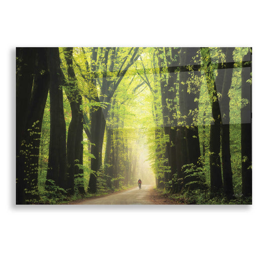 Epic Art 'Among Giants in Springtime' by Martin Podt, Acrylic Glass Wall Art