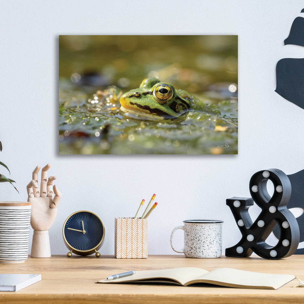 Epic Art 'Frog' by Martin Podt, Acrylic Glass Wall Art,16x12