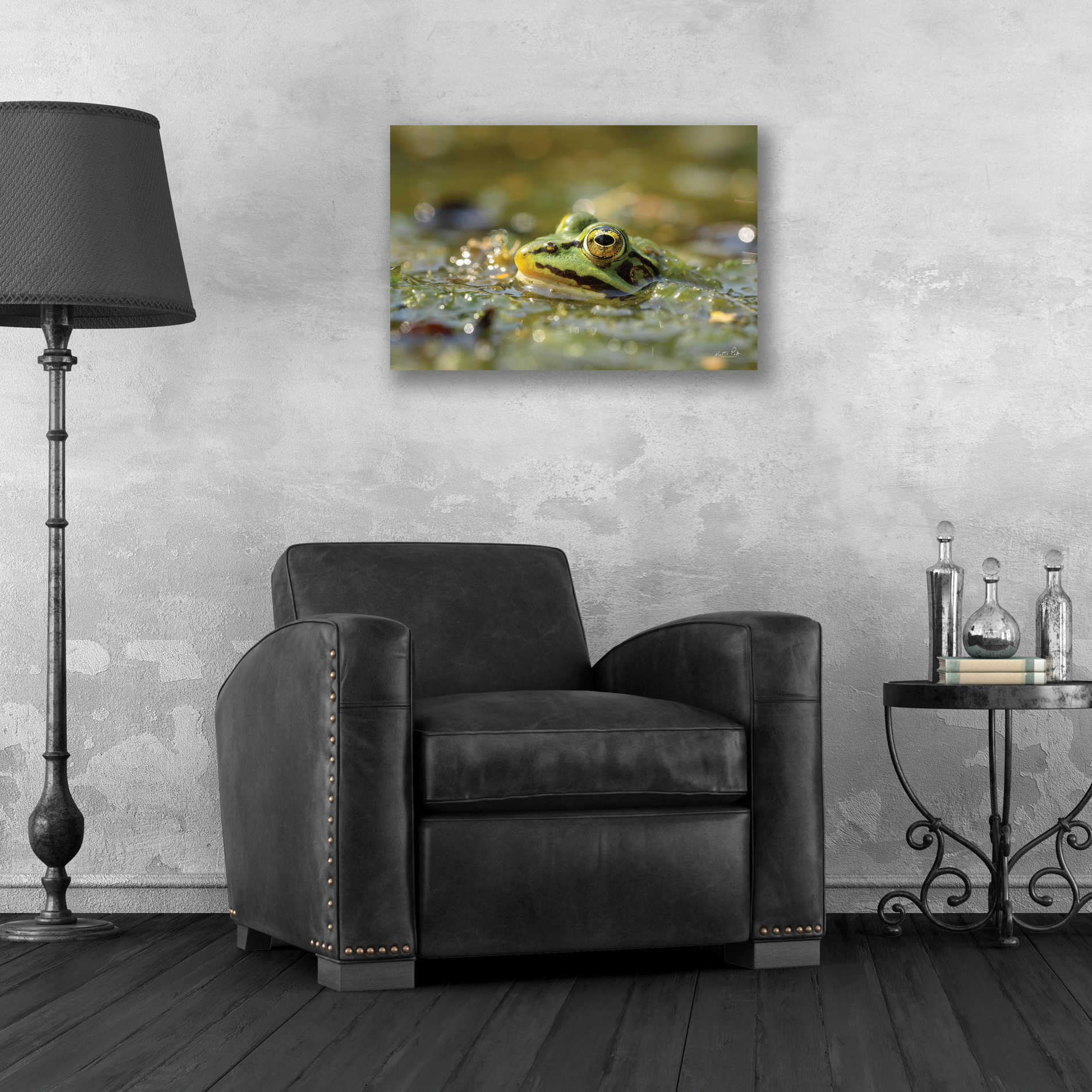 Epic Art 'Frog' by Martin Podt, Acrylic Glass Wall Art,24x16