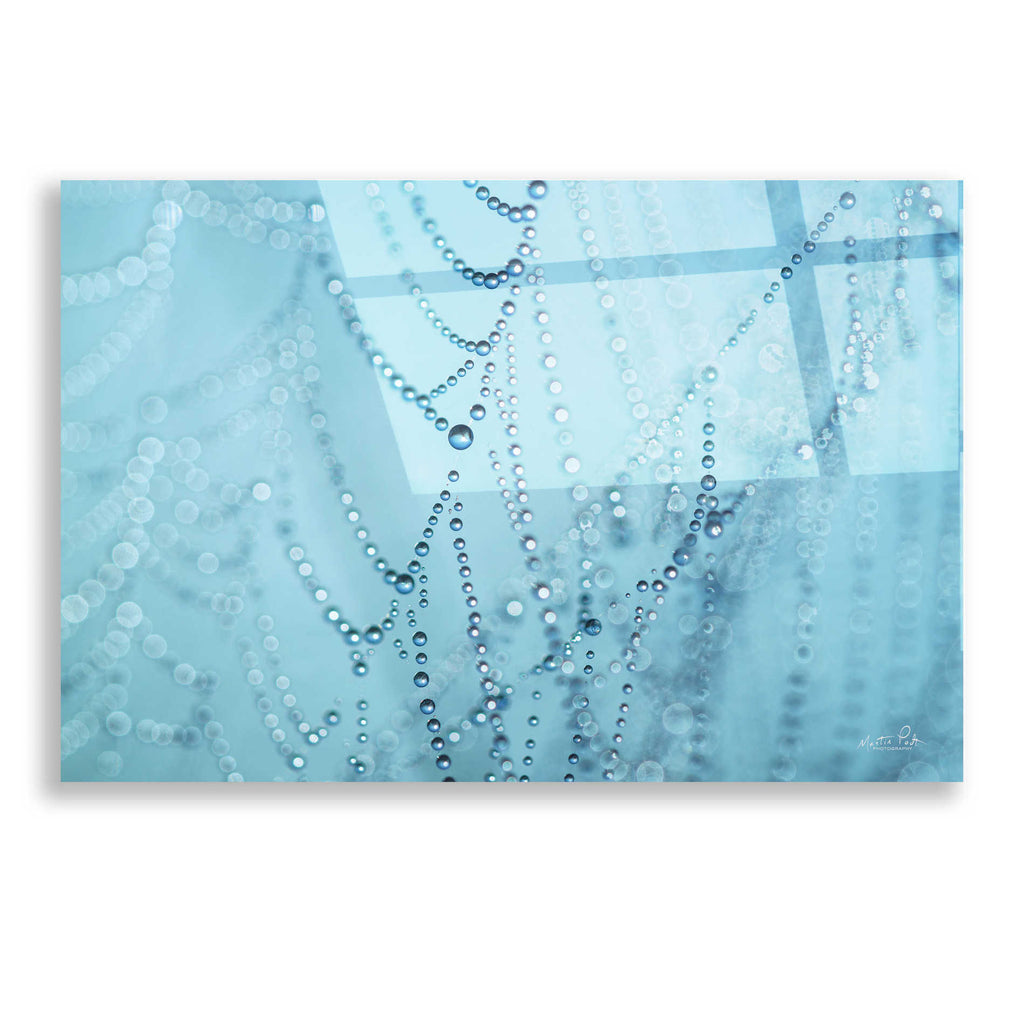 Epic Art 'Nature's Jewels I' by Martin Podt, Acrylic Glass Wall Art