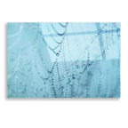 Epic Art 'Nature's Jewels I' by Martin Podt, Acrylic Glass Wall Art