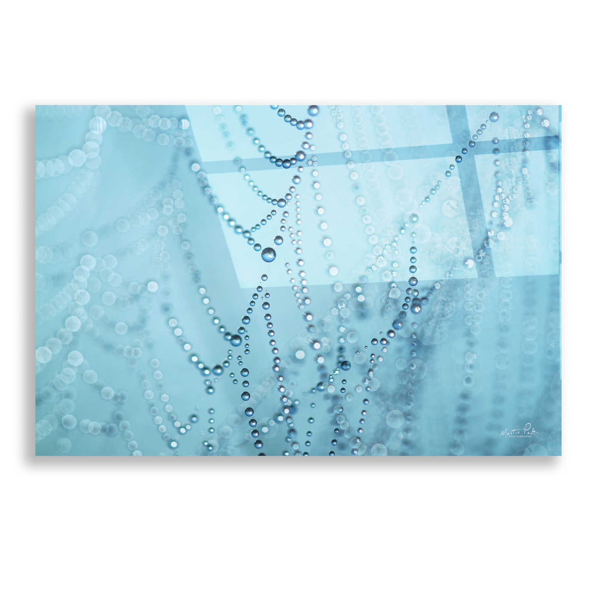 Epic Art 'Nature's Jewels I' by Martin Podt, Acrylic Glass Wall Art