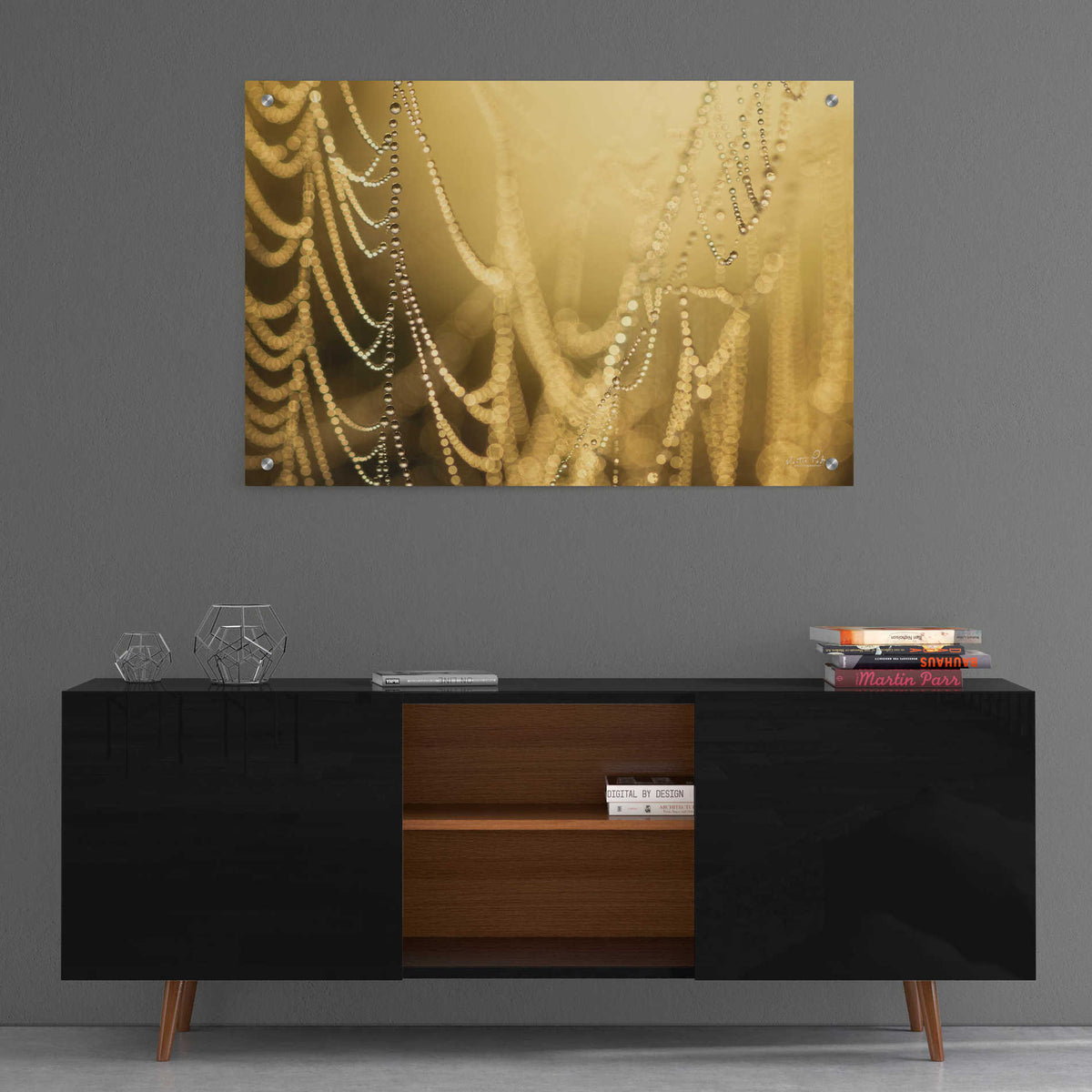 Epic Art 'Nature's Jewels II' by Martin Podt, Acrylic Glass Wall Art,36x24
