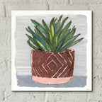 Epic Art 'Potted Agave II' by Stellar Design Studio, Acrylic Glass Wall Art,12x12