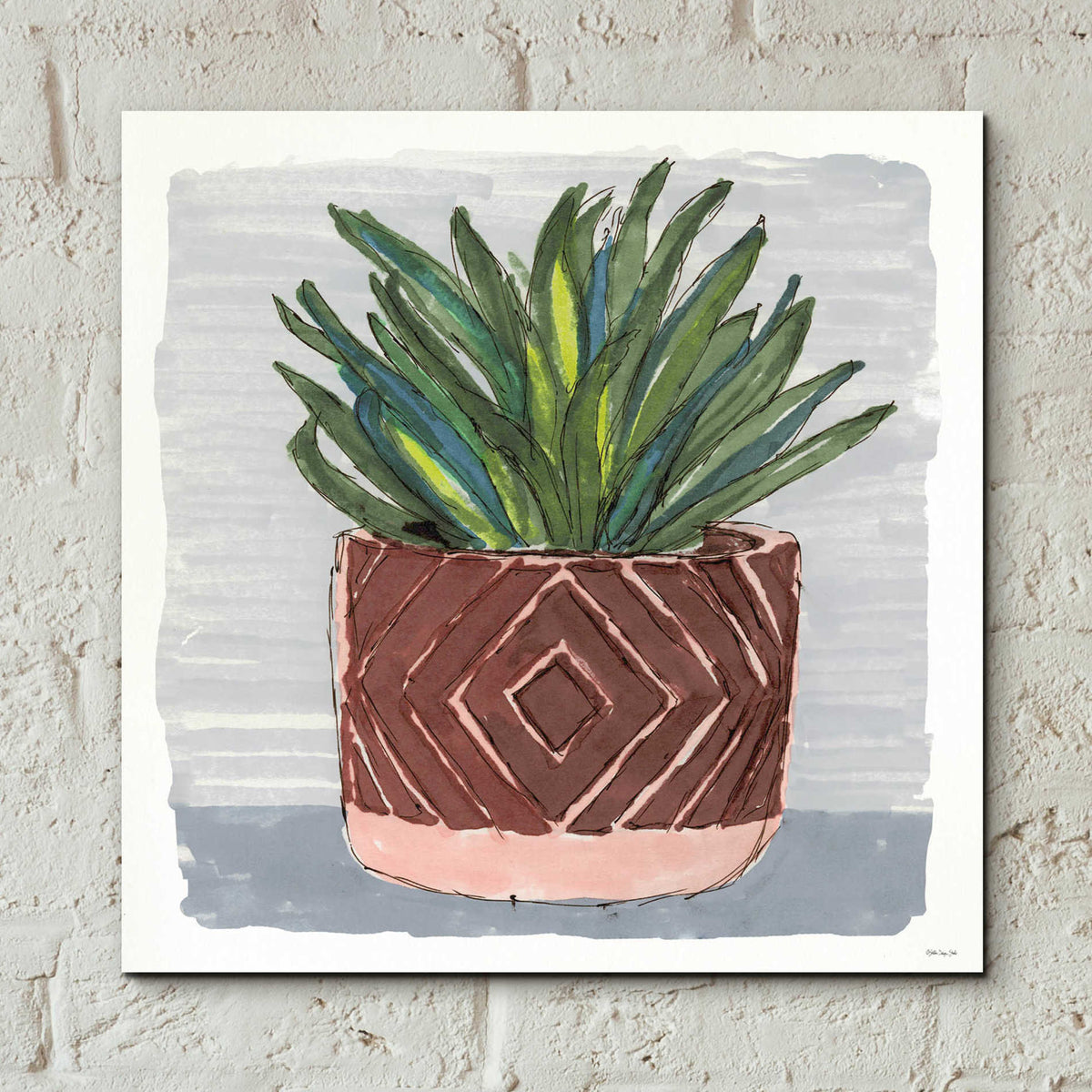 Epic Art 'Potted Agave II' by Stellar Design Studio, Acrylic Glass Wall Art,12x12