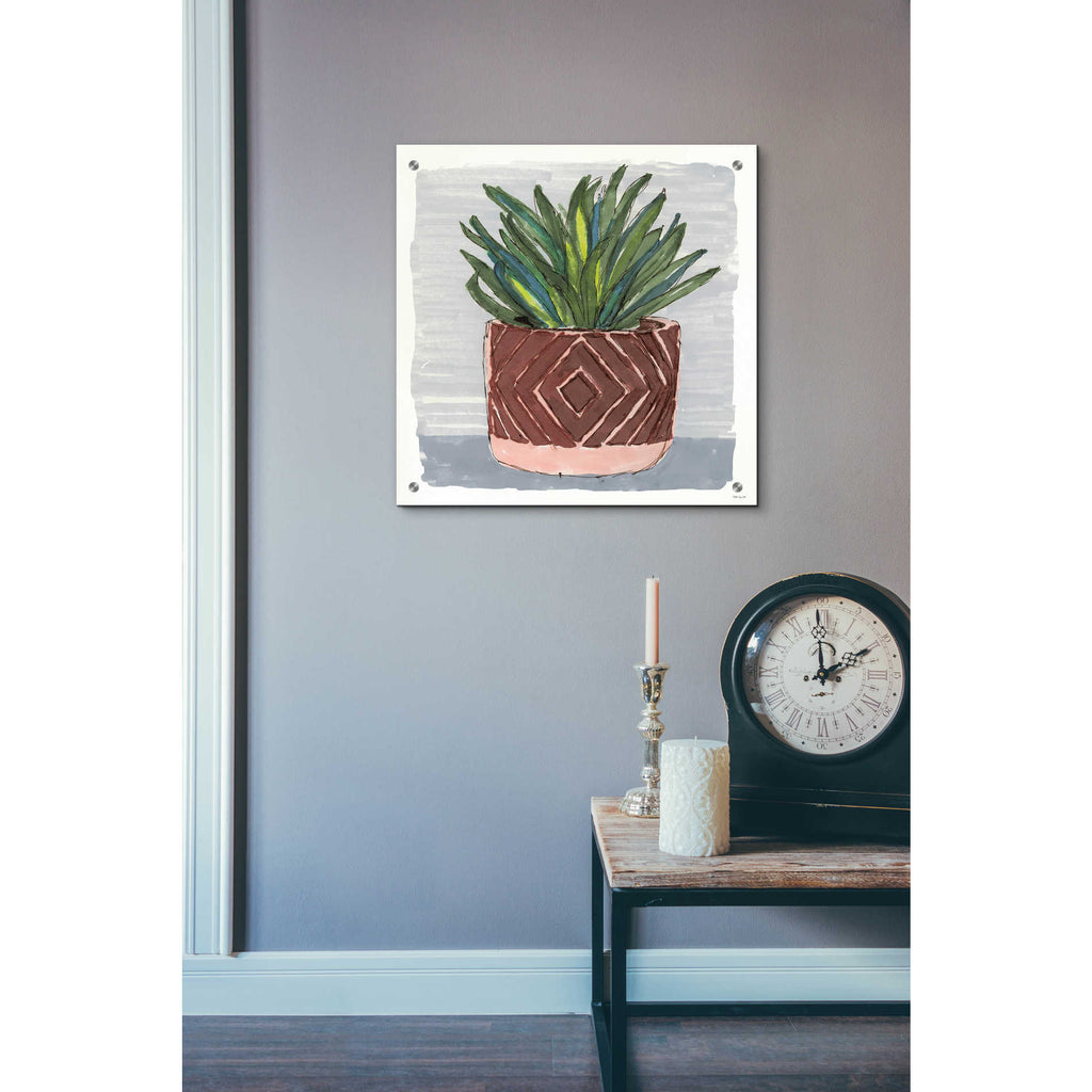 Epic Art 'Potted Agave II' by Stellar Design Studio, Acrylic Glass Wall Art,24x24