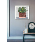 Epic Art 'Potted Agave II' by Stellar Design Studio, Acrylic Glass Wall Art,24x24